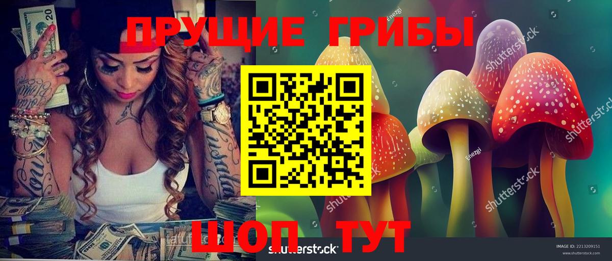 Псилоцибиновые грибы ЛСД  Псилоцибиновые грибы Cubensis  Курчалой  Вход с VPN 